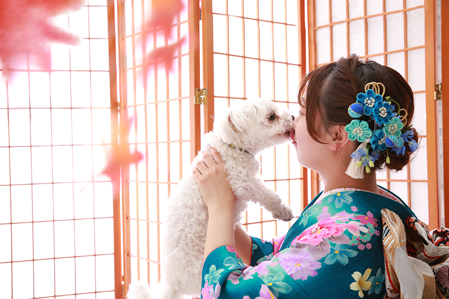 犬とキス振袖