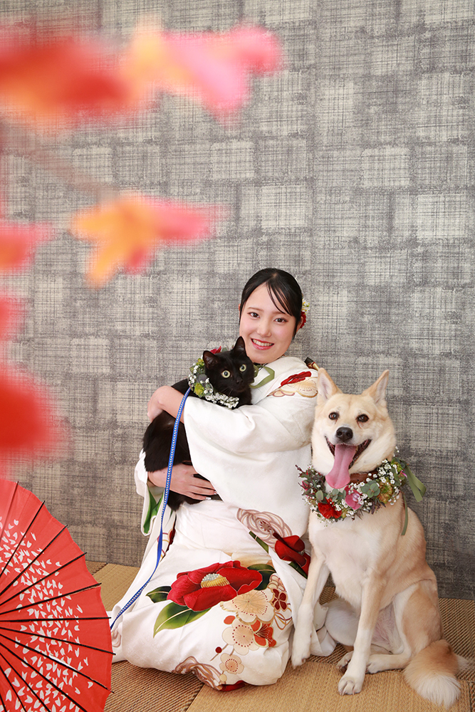 犬と猫と振袖