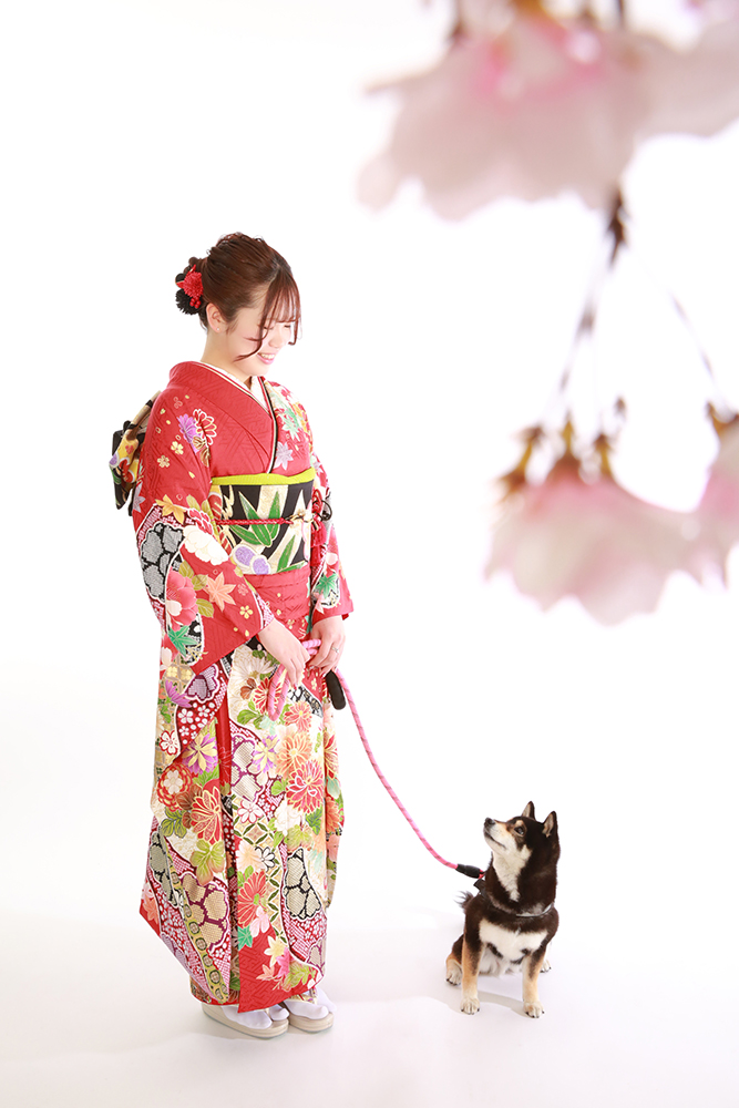 犬と見つめ合う