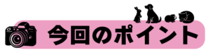 今日のポイント