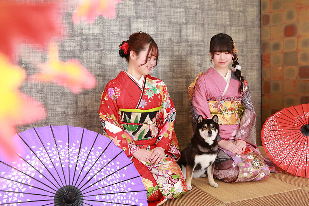 姉妹と黒柴