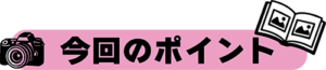 今回のポイント
