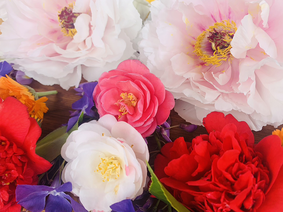 生花1