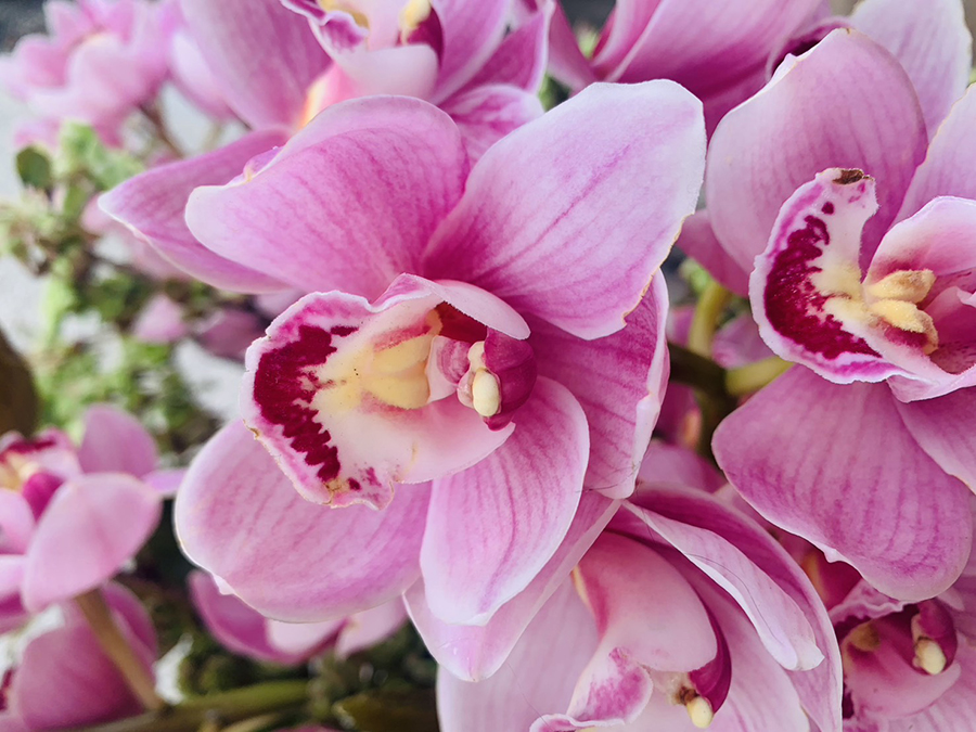 生花2