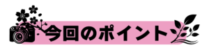 今回のポイント