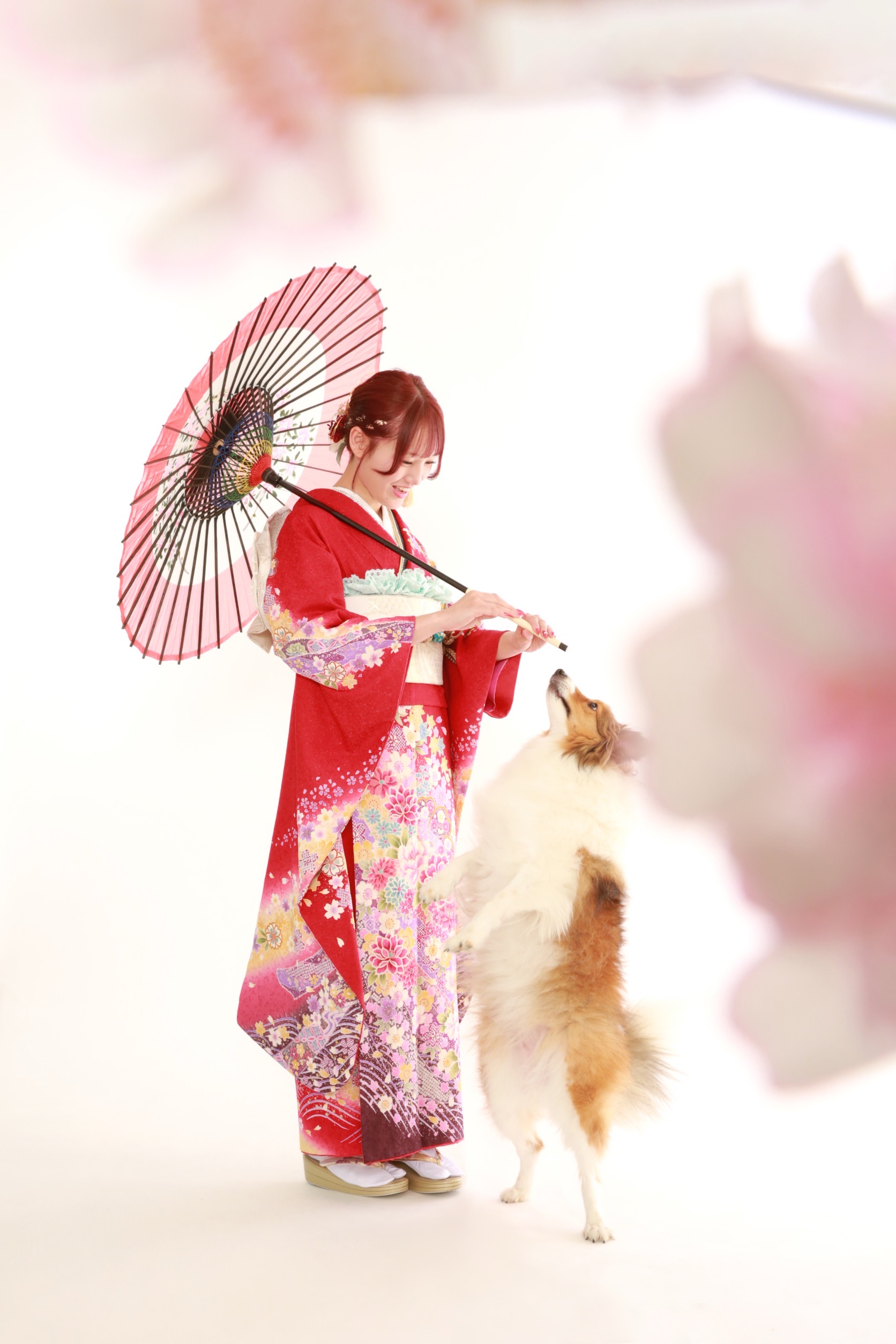 撮影中に愛犬と触れ合う振袖姿のお嬢様