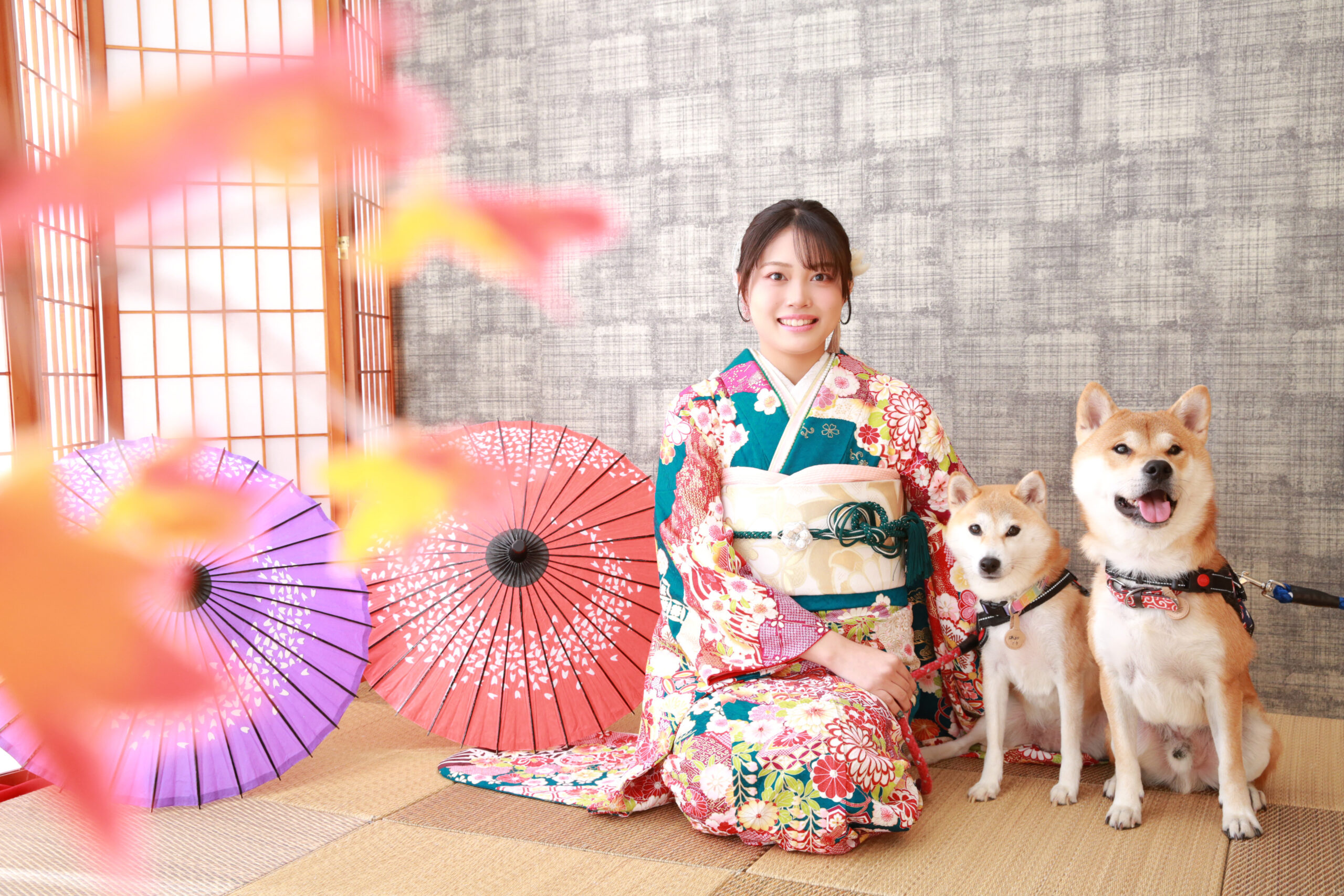 振袖姿で愛犬と一緒に撮影する前撮り